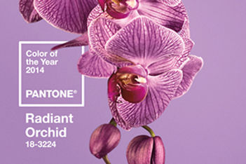 Perfect Purple