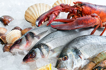 Sustainable Fish Guide