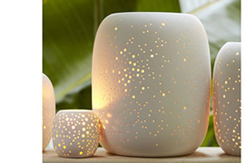 Starry, Starry Light
