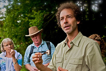 Foraging Activity