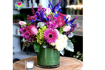 Spring Blooms
