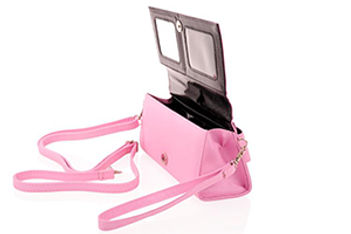 Clever Carryall