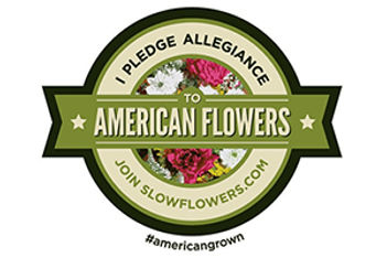 Sustainable Flower Finder