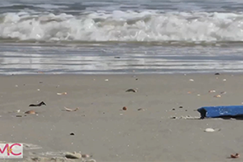 VIDEO: Beachy Clean