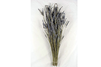 dried-lavender