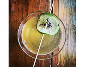 New Spin on Gin