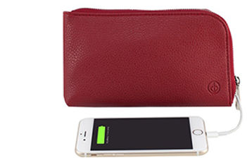 clutchette-power-purse