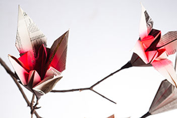 paper-lilies-artist-keri-muller