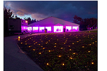 led-lights-lawn