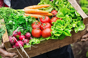 It Doesn't Get Any Fresher Than This