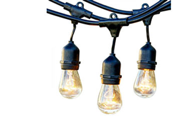 Bevy of Bulbs