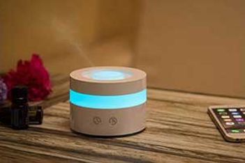 Hotel Humidifier
