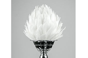 white-feather-decoration