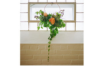 Framing Petals