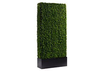 cort-event-furnishings-boxwood-hedge-2