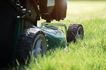 The Grass Really Is Greener