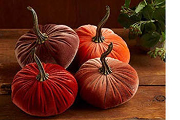 Gorgeous Gourds