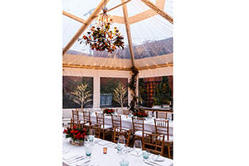 ivy-hotel-winter-garden-baltimore