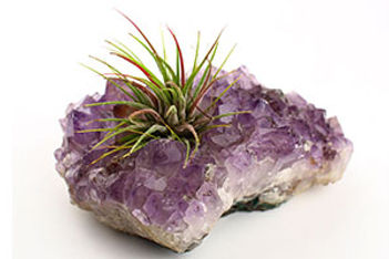 amethyst-votive-crystal-plant-holder