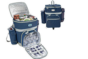 Everything for a Picnic But the Sandwiches