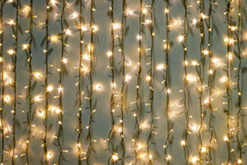 twinkle-fairy-lights-Sabine-Hortebusch-adobestock-221625568