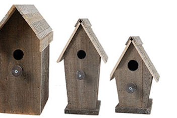 Bird-Themed Décor