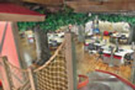 Camp Red Frog thumbnail