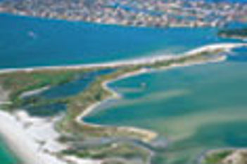Beaches of St. Petersburg thumbnail