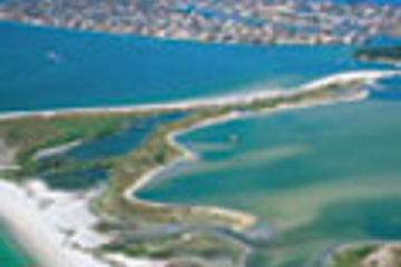Beaches of St. Petersburg thumbnail