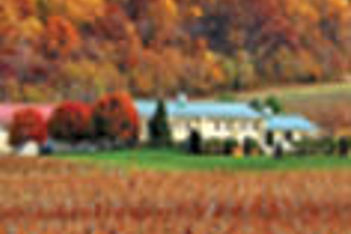 Loudoun County winery thumbnail