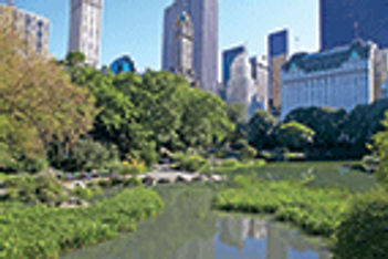 Central Park