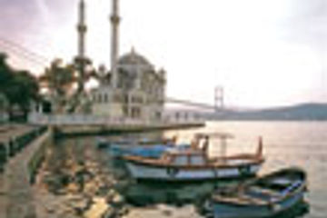 July 2011 NLIF thumbnail