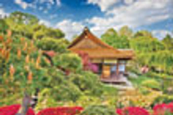 Shofuso thumbnail