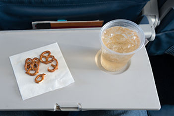Airline Food Study: Just Say 'No' and Bring Your Own Food