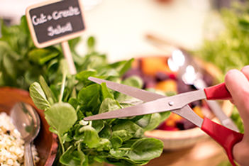 cut-create-salad