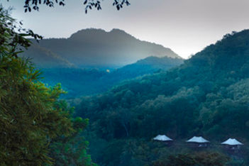 rosewood laos