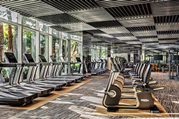 technogym aria vegas