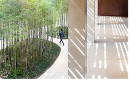 Hyatt Regency Beijing Wangjing Urban Forest 2