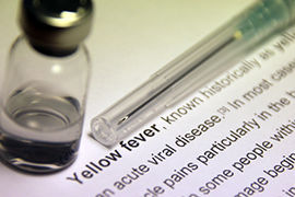yellow-fever-syringe-GettyImages-509538142