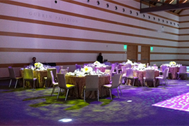 ballroom 13