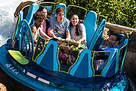 infinity-falls-seaworld-orlando