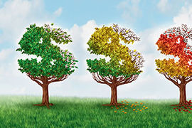 Money Tree stock