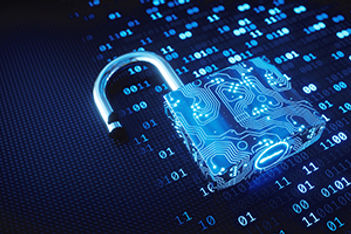 Overcoming Data Insecurity