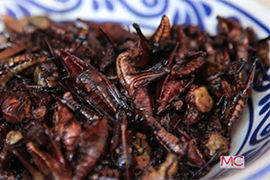 Eating Crispy Critters in Northern California