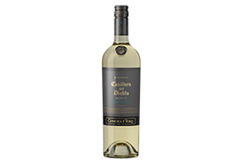 Chill With Chilean Wine