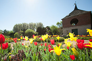 Enchanted Gardens