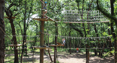 Ropes course Trinity Forest Adventure Park