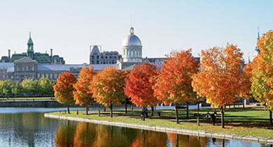 Bonsecours market