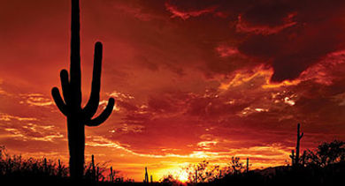 Tucson skies
