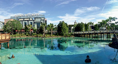 Central Florida Disney Springs